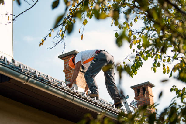 Quick and Trustworthy Emergency Roof Repair Services in Port Royal, SC