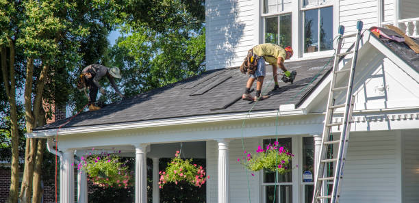 Best Roof Gutter Cleaning  in Port Royal, SC